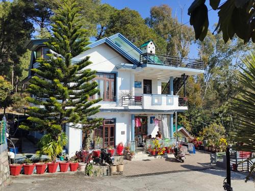 Palampur Bed & Breakfast | Rupayan