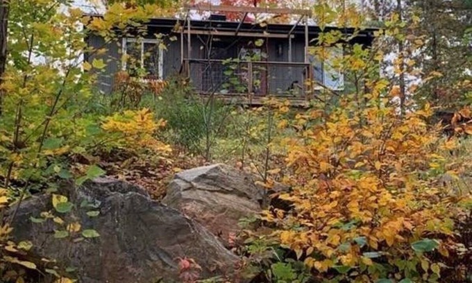 Hastings Highlands Cabin | Rustic Bunky on Picturesque Lake