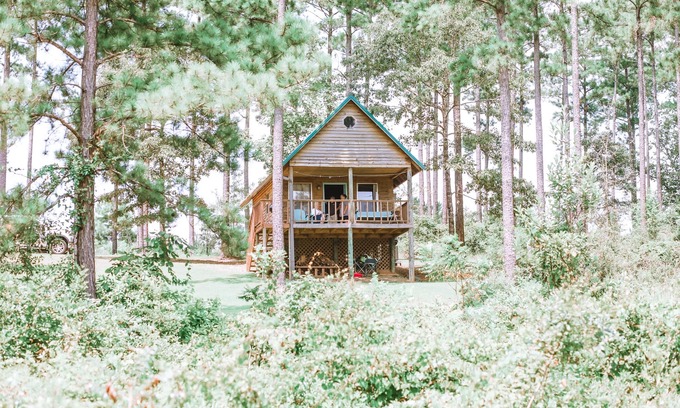 Lucedale Cabin | Rustic Cabin Overlooking Private 48 acre Bass Fishing Lake