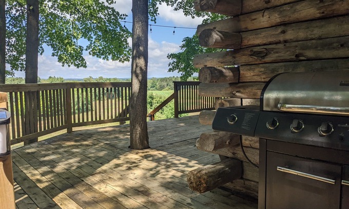 Bear Lake Cabin | Rustic Retreat Log Cabin Nestled Among 65 Acres