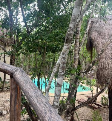 Tulum Hotel | Sak lool Tulum