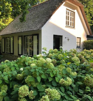 Schilde House | Schilde Cottage