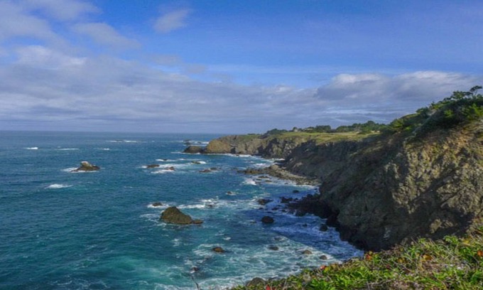 Albion House | Seal Point - Edge of the World