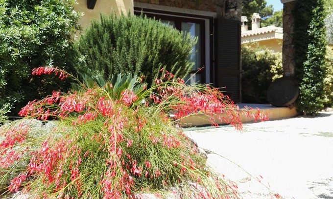 Porto Pino Villa | Seaside villa equipped with every comfort