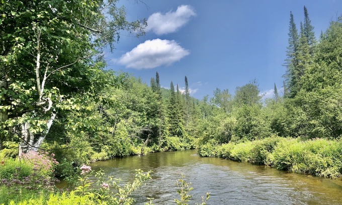 Mayfield House | Secluded Boardman River home with a HOT TUB, Smart TV, Kayaks. Dogs ok