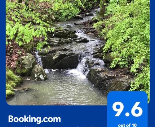 Jones Mills House | Secluded Home with Mini Waterfall and a Creek in Hot Springs