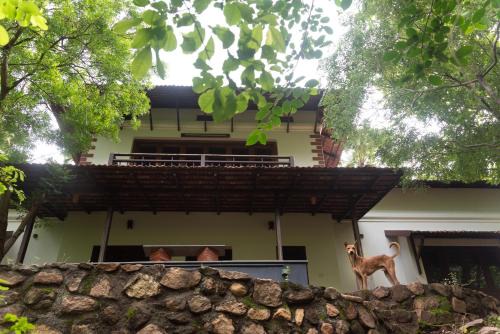 Chittur Hotel | Seethavanam Farmstay at Forest Edge