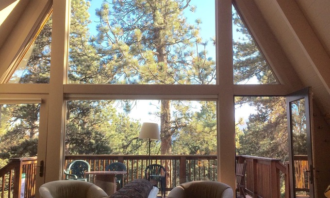 Allenspark Cabin | Serene Solitude mountain cabin in Allenspark