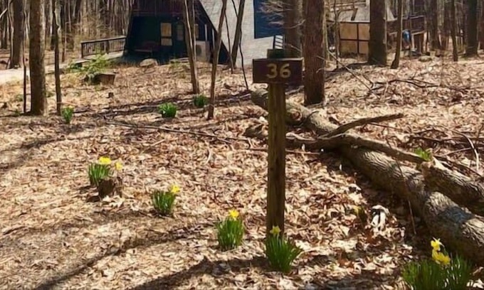 Berkeley Springs Cabin | Shady Grove- Private Hot Tub