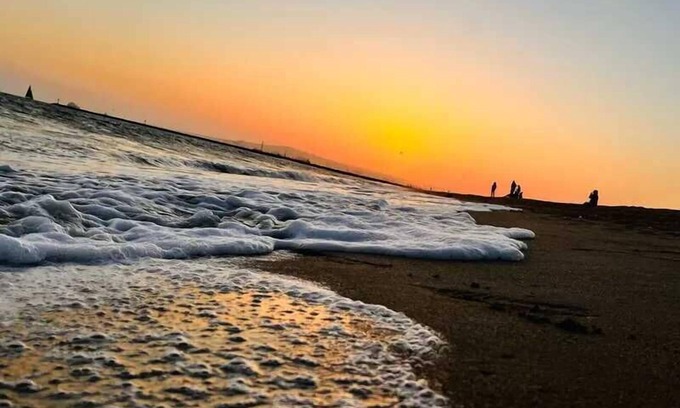 Belmont Shore Apartment | Shaggy Seahorse:Beach~Bay~2ndSt~Fast Wi-Fi+Pets OK