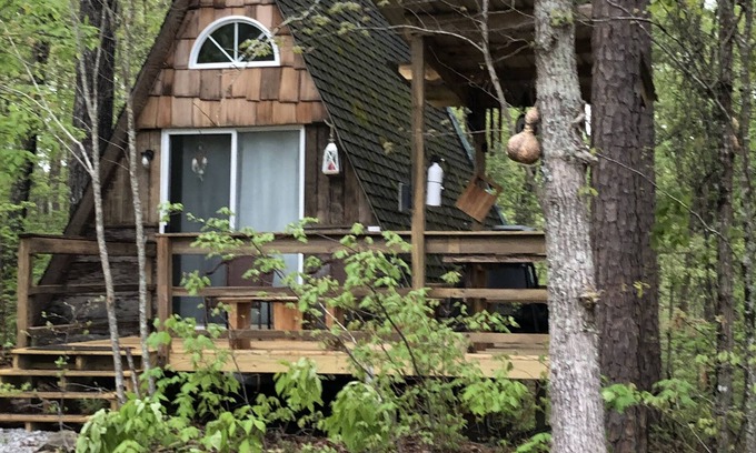 Muscadine Cabin | SHEKHINA nA tiny house in the woods. n40 acres. Total privacy. Weekend retreat.
