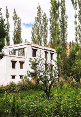 She House | Shel Heritage Home