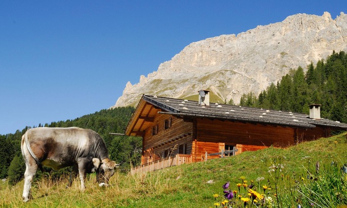 Obereggen House | Ski-In Vacation Home “Thaleralm” on the Alp with Mountain View, Terrace & Garden