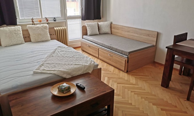 Slany Apartment | Slaný byt 1+1
