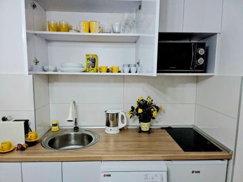 Banja Koviljaca Apartment | Slatkiš Sweet