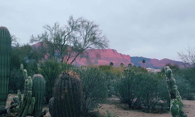 Mesa del Oro House | Sleepy Hollow Haven Amazing Superstition Mountain views & Jacuzzi