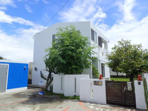 Gushikawa House | Smilax Kurichi
