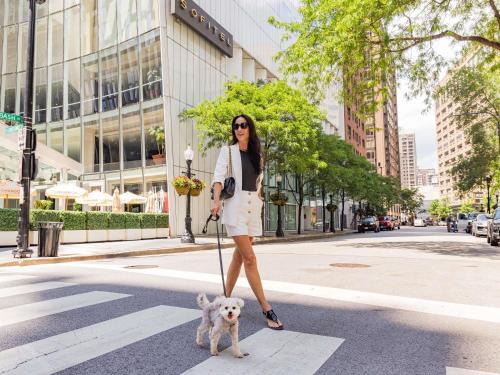 Rush and Division Hotel | Sofitel Chicago Magnificent Mile