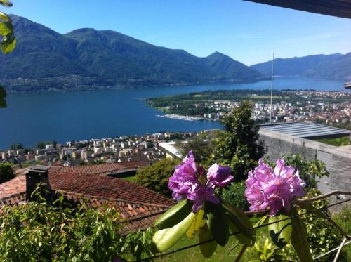 Brione sopra Minusio Apartment | Sonnenstrahl