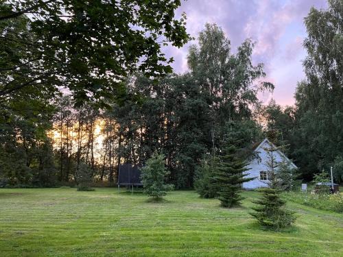 Ida-Viru County House | Сottage under the trees