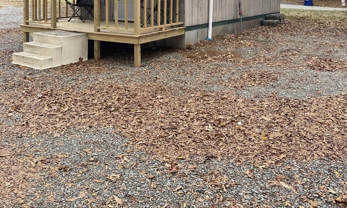 Ethel Cabin | South Arkansas Cabins the wood duck inn is your home away from home