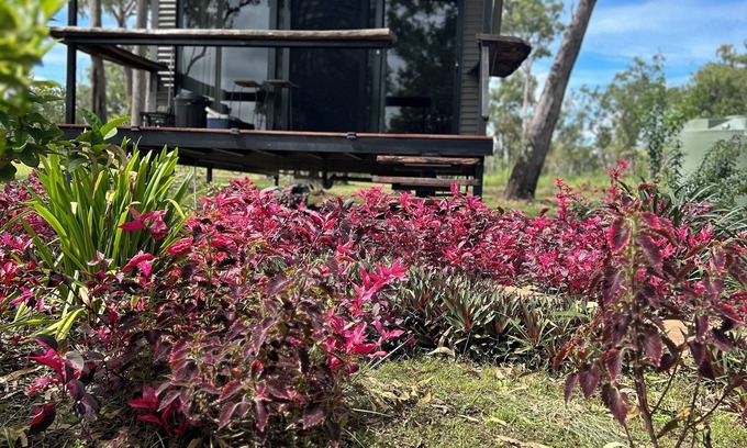 Rum Jungle Cabin | Spacious modern Bungalow Desert Rose: 10 minutes to Litchfield National Park