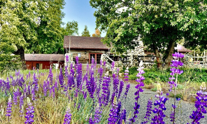 Pauma Valley Cabin | Spacious mountain lodge