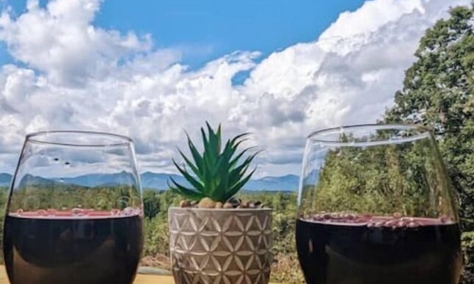 Pickens House | Sparrow Hawk Nest- Luxury Mountain View Tiny Home!