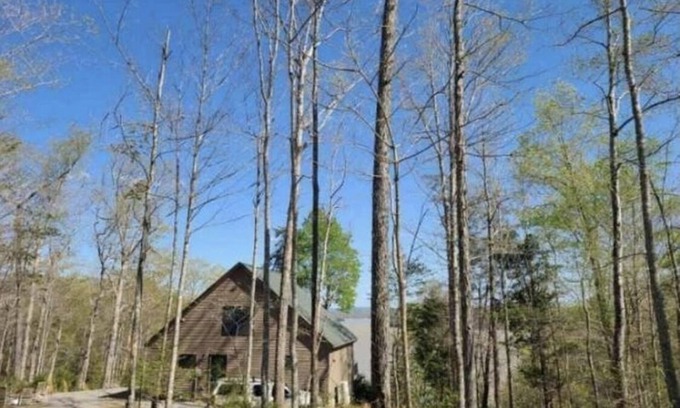 Nancy House | Spectacular cabin on Lake Cumberland
