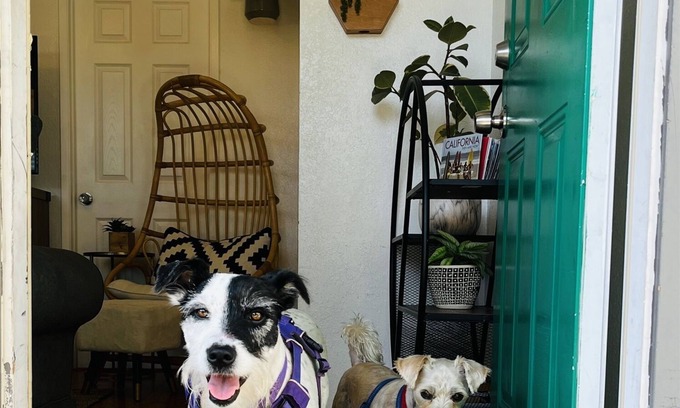 Point Loma Heights Cottage | Springtime Escape – Discounted beach cottage!