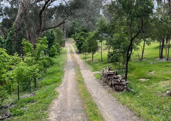 Warrandyte House | STA Wildlife Sanctuary - Yarra Valley Gateway!