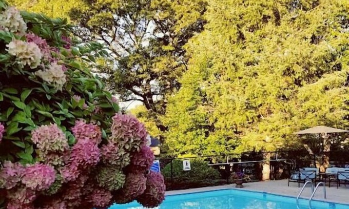 Dennis Cabin | Starlight Lodge Cape Cod