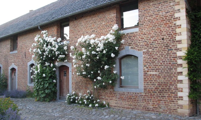 Millen House | Staying in peace in a historic courtyard