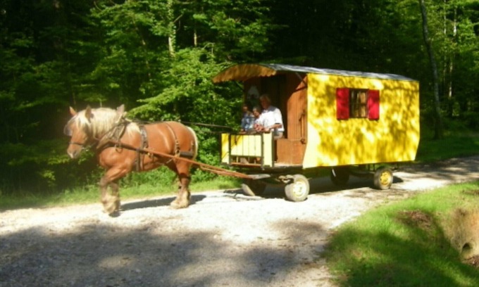Ecleux Other | STAYS IN ROULOTTE WITH HORSE "DISCOVERY OF THE VAL OF LOVE" AND ROOMS D HOTES