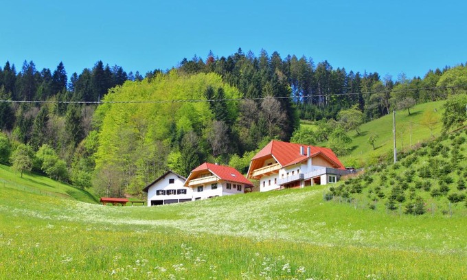 Oberharmersbach Apartment | Stinneshof