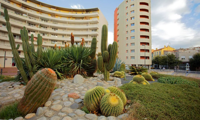 Clemenceau Apartment | Studio Confortable + Kitchenette | Wi-Fi Gratuit