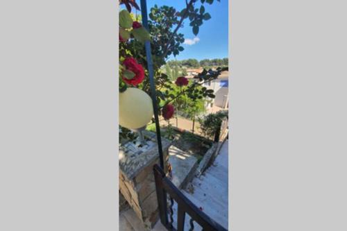 13th Arrondissement Apartment | studio entre vallée colline et soleil marseillais