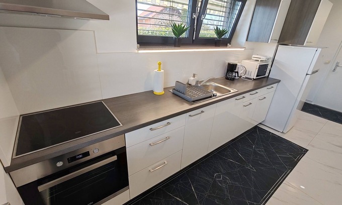 Kranj Apartment | Studio Hathor with Terrace & garden in Kranj