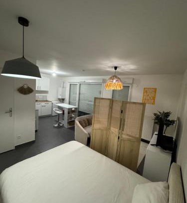 Gex Apartment | Studio Leman Ciel avec parking privé gratuit