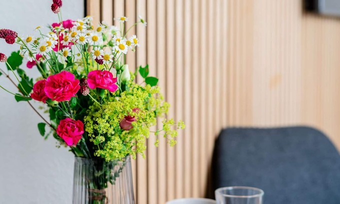 Nordstadt Apartment | Studio "S17 Bude 30"