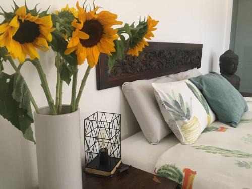 Port Noarlunga South House | Studio South Port - Lush Private Oceanfront Studio Apartment