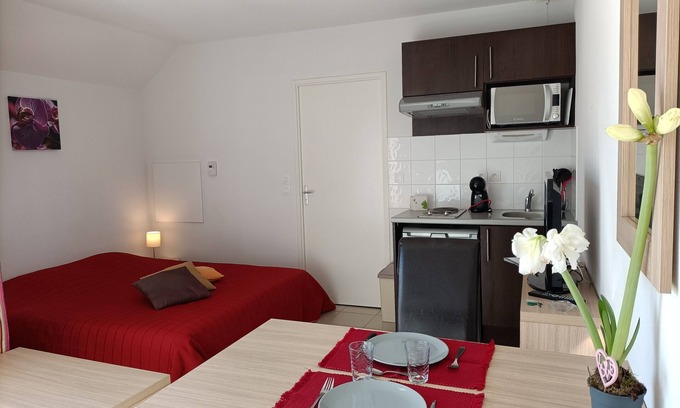 Salies-de-Bearn Apartment | Studio Terrasse Dans Résidence Avec Piscine C62