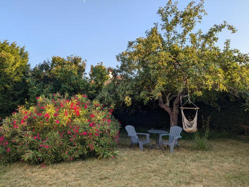 Tours House | Studio Volta Garden proche du tram