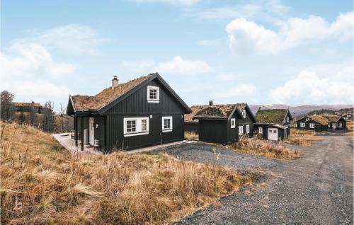 Tokke House | Stunning Home In Rauland With Wifi
