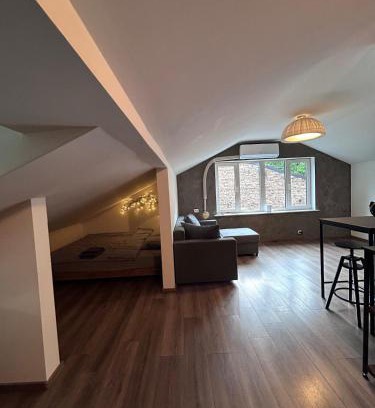 Zemgale Suburb Apartment | Sun-Kissed Studio