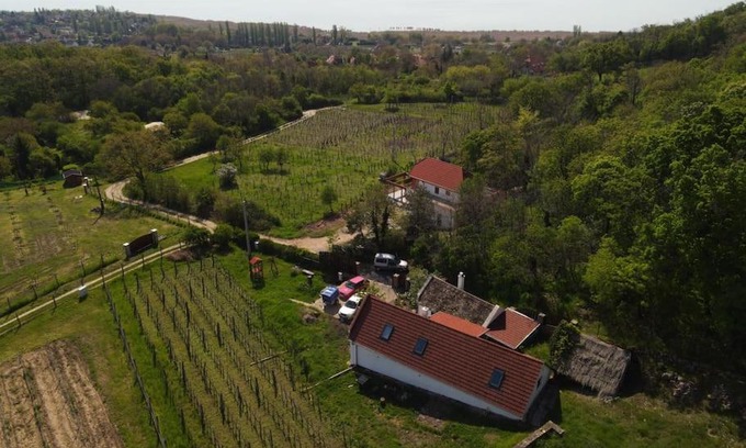 Abrahamhegy House | Sun & Wine Balaton