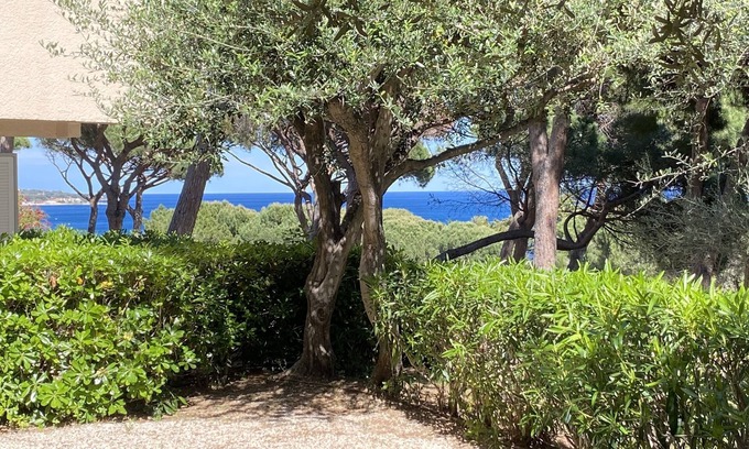 La Nartelle Apartment | Superb air-conditioned apartment with sea view in a residence with swimming pool at La Nartelle
