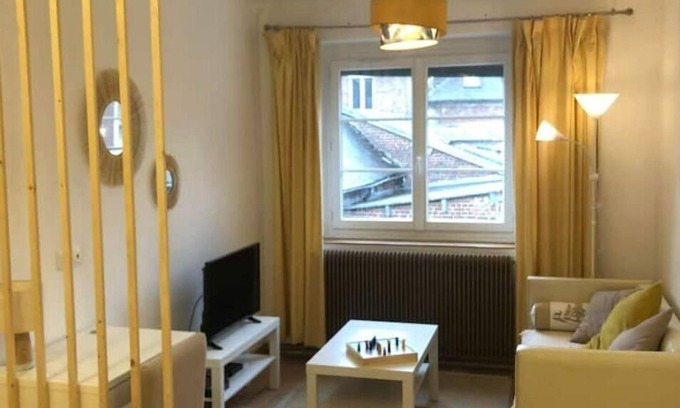 Crepy-en-Valois Apartment | Superbe Appartement en Plein Centre-ville de Crépy