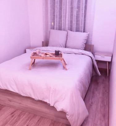 Sablon Apartment | Superbe Appartement tout équipé, Le nid d'Eva à Metz Gare, Parking privé, Balcon, F2, 50m2, 3p