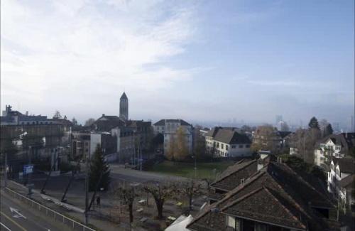Oberstrass Apartment | Superior Apartment with City View University110